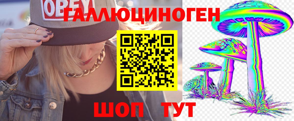 Долгопрудный  Псилоцибиновые грибы мицелий  Вход с VPN 